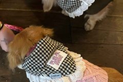 20251208_080133000_iOS