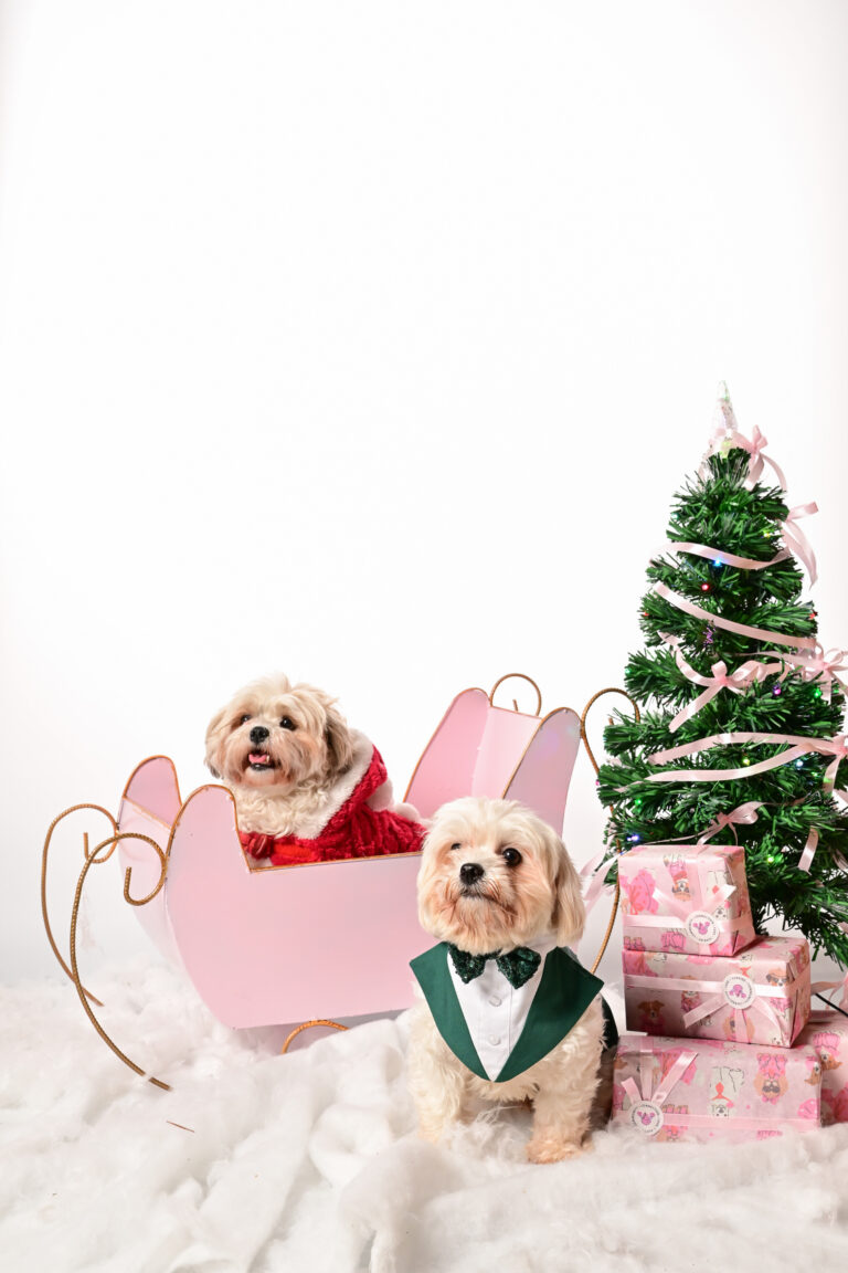 London Pinkmas Pawty | December 2025