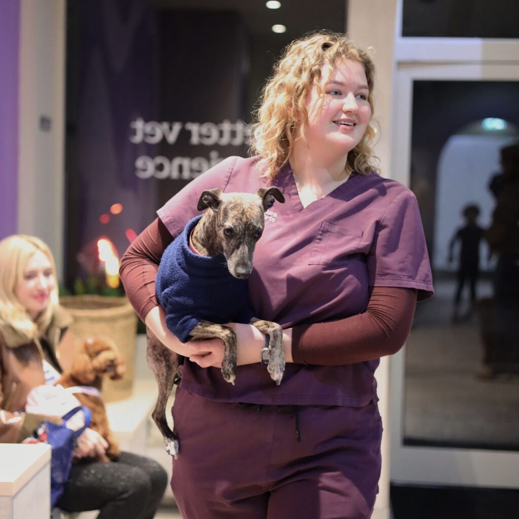 Furribe x Creature Comforts Colab | February 2026